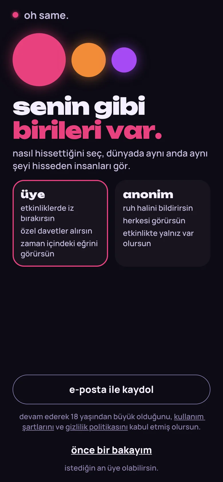 oh same. giriş ekranı