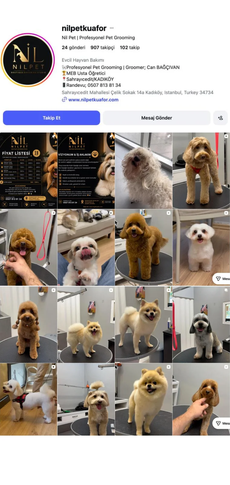 Nil Pet Kuaför Instagram profili